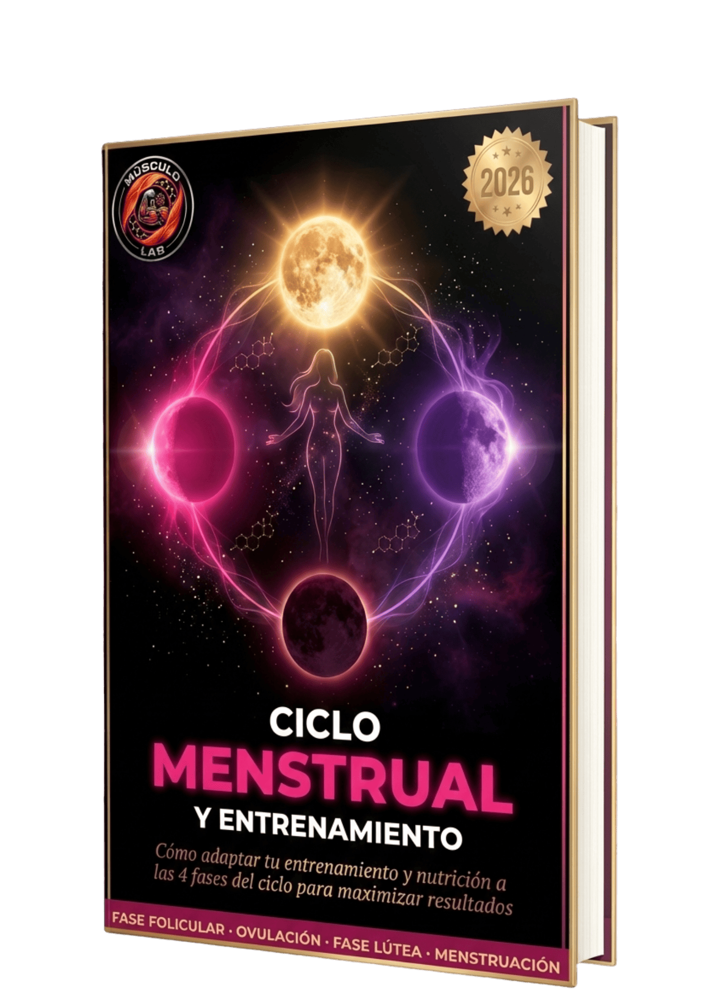 Ciclo Menstrual