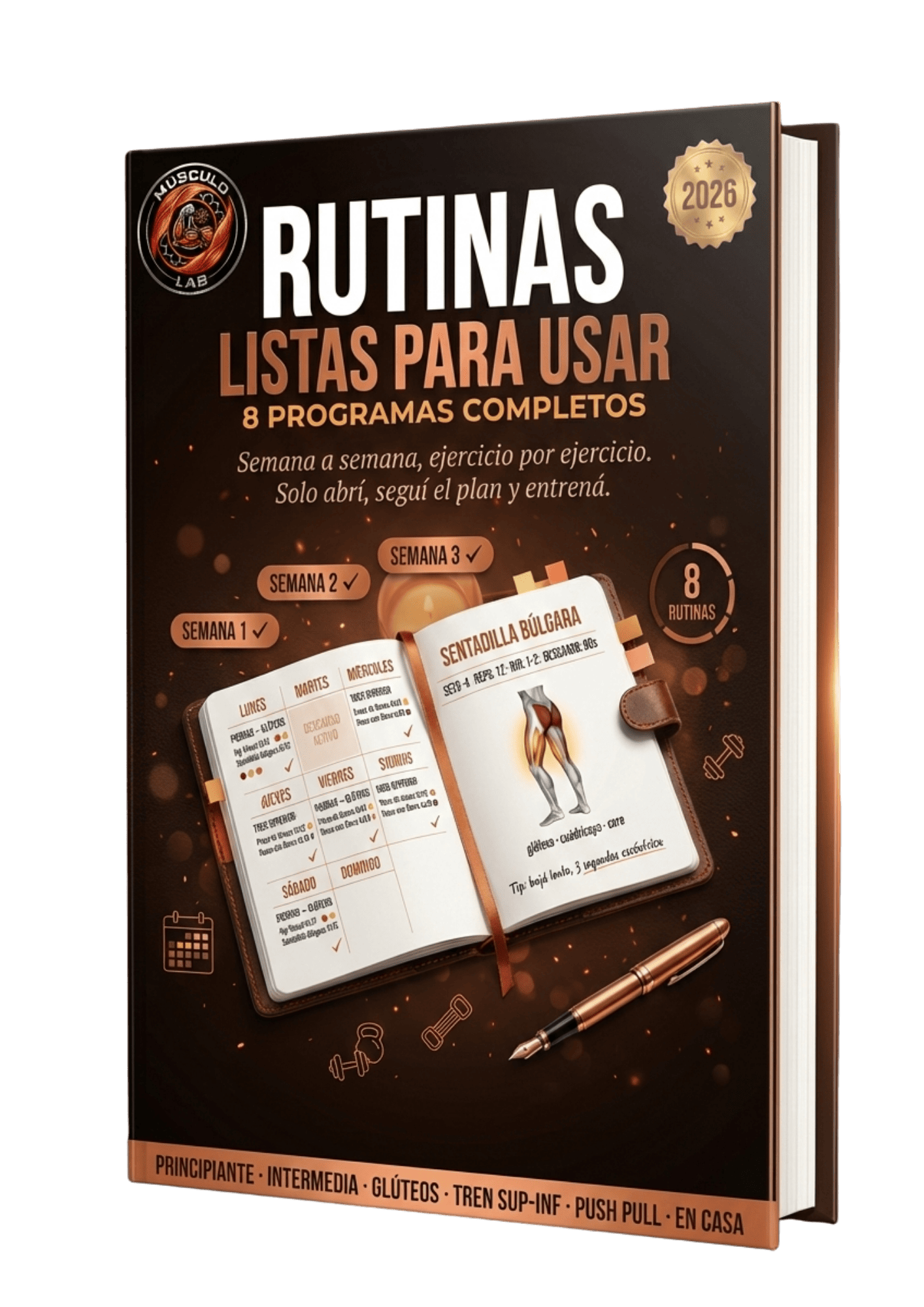 8 Rutinas